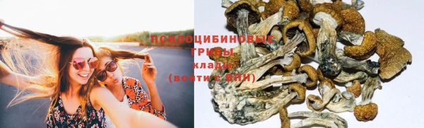 бутират Киреевск