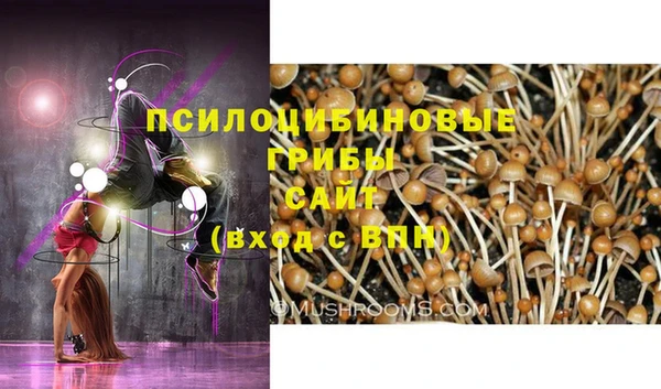 метадон Кодинск