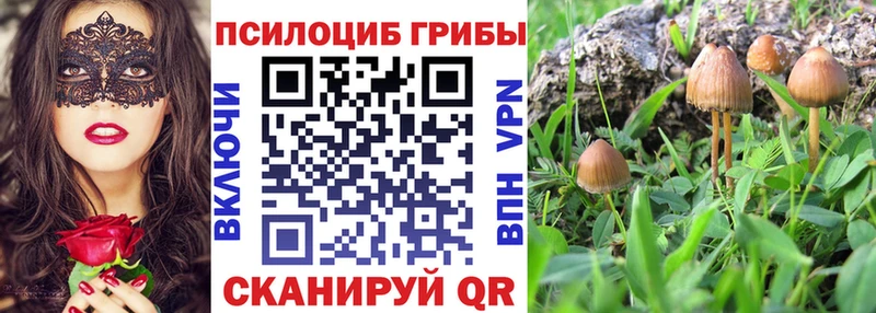 Галлюциногенные грибы Magic Shrooms  купить  сайты  Прокопьевск 