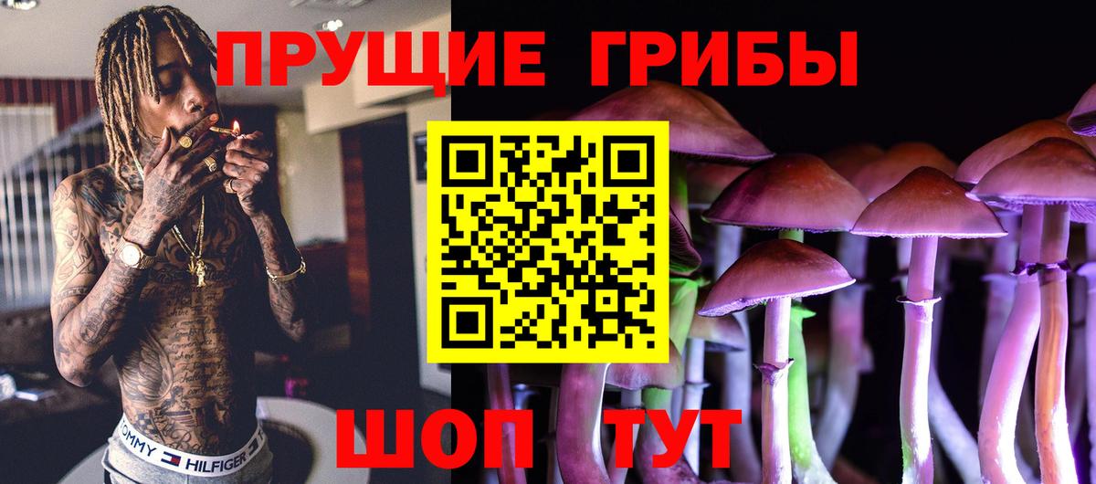 Прокопьевск  Псилоцибиновые грибы GOLDEN TEACHER  Вход с VPN 